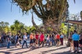 Pandora Ã¢â¬â The World of Avatar at the Animal Kingdom at Walt Disney World Royalty Free Stock Photo